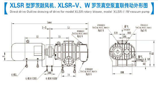 罗茨风机结构